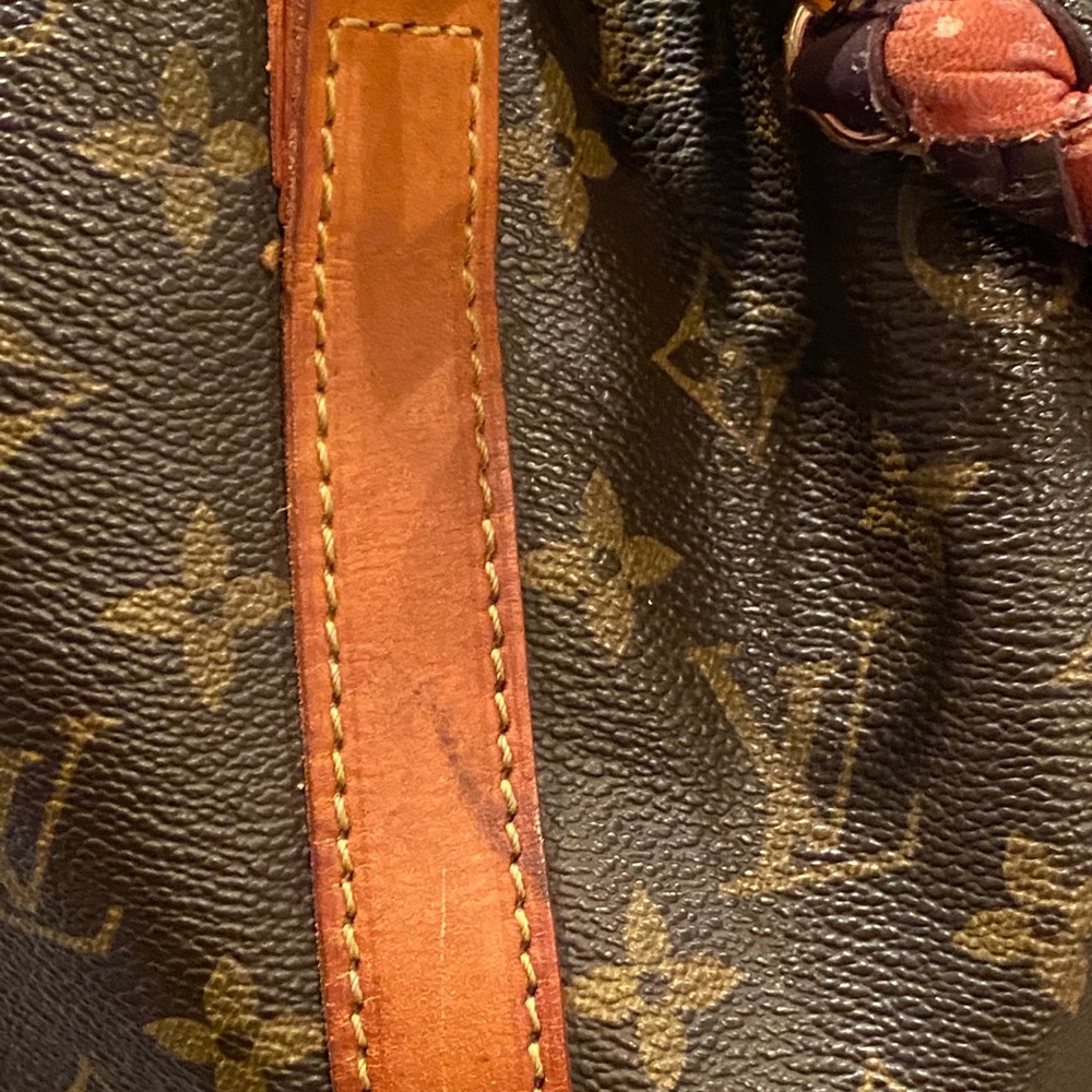 GORGEOUS! Louis Vuitton petit Noe custom - Picture 11 of 13
